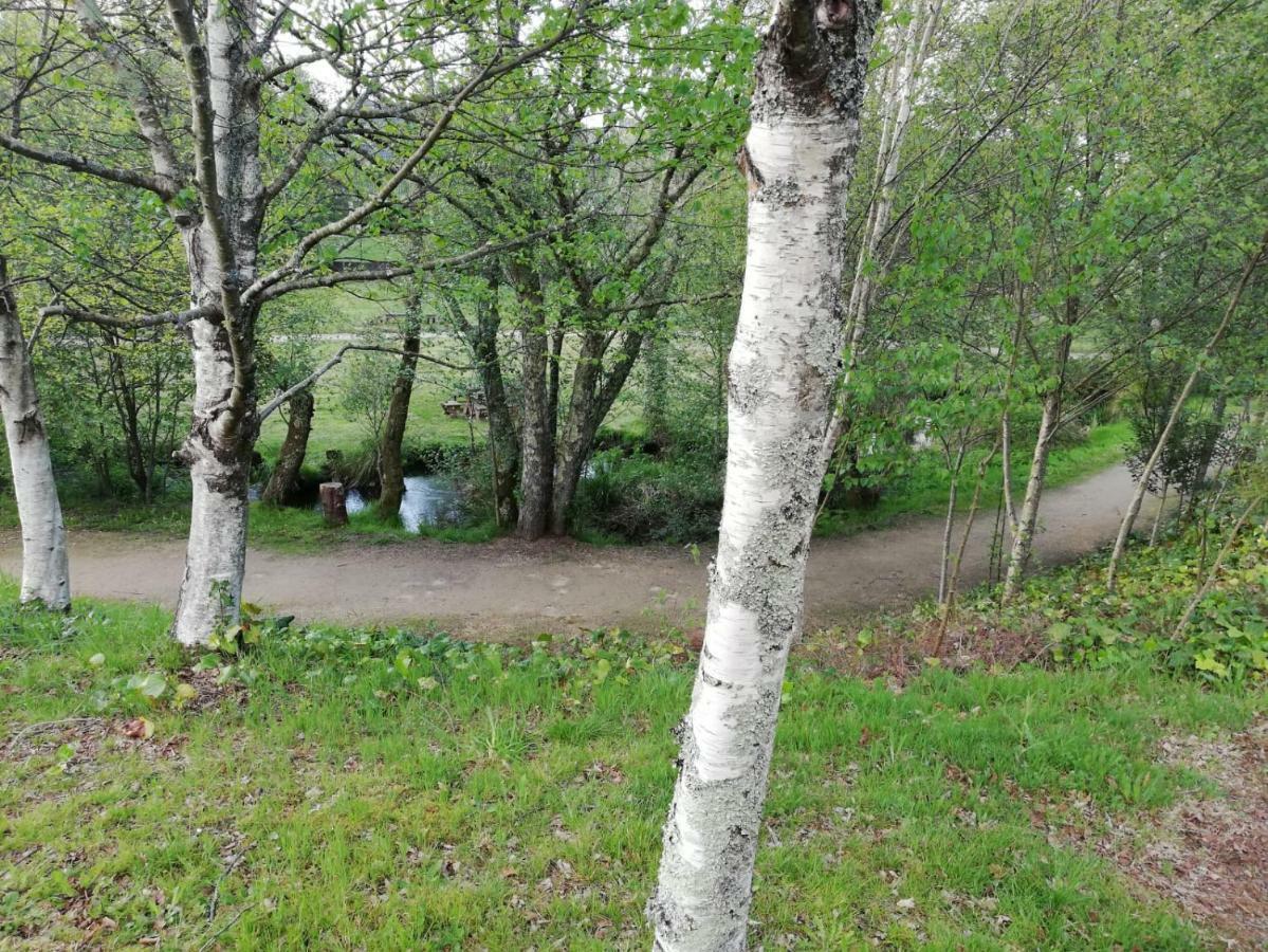 סיגוויירו Albergue Camino Real מראה חיצוני תמונה
