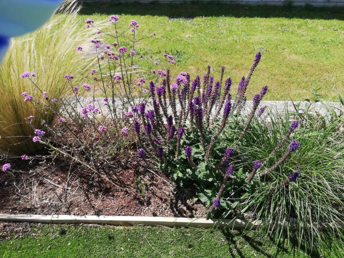 סיגוויירו Albergue Camino Real מראה חיצוני תמונה