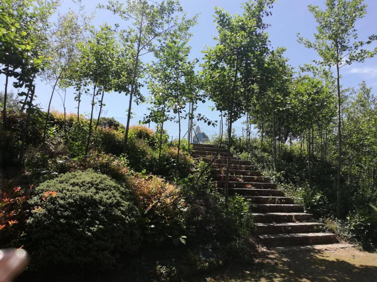סיגוויירו Albergue Camino Real מראה חיצוני תמונה