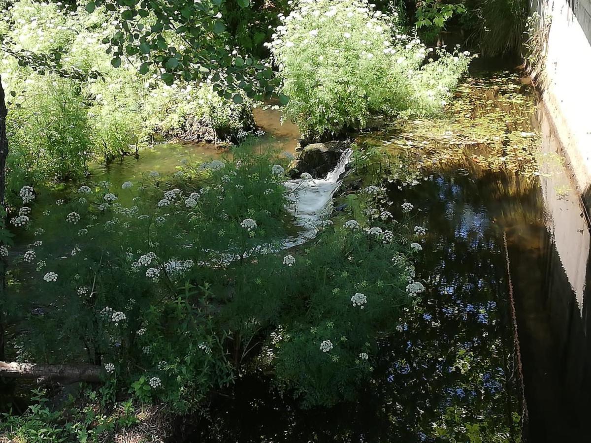 סיגוויירו Albergue Camino Real מראה חיצוני תמונה